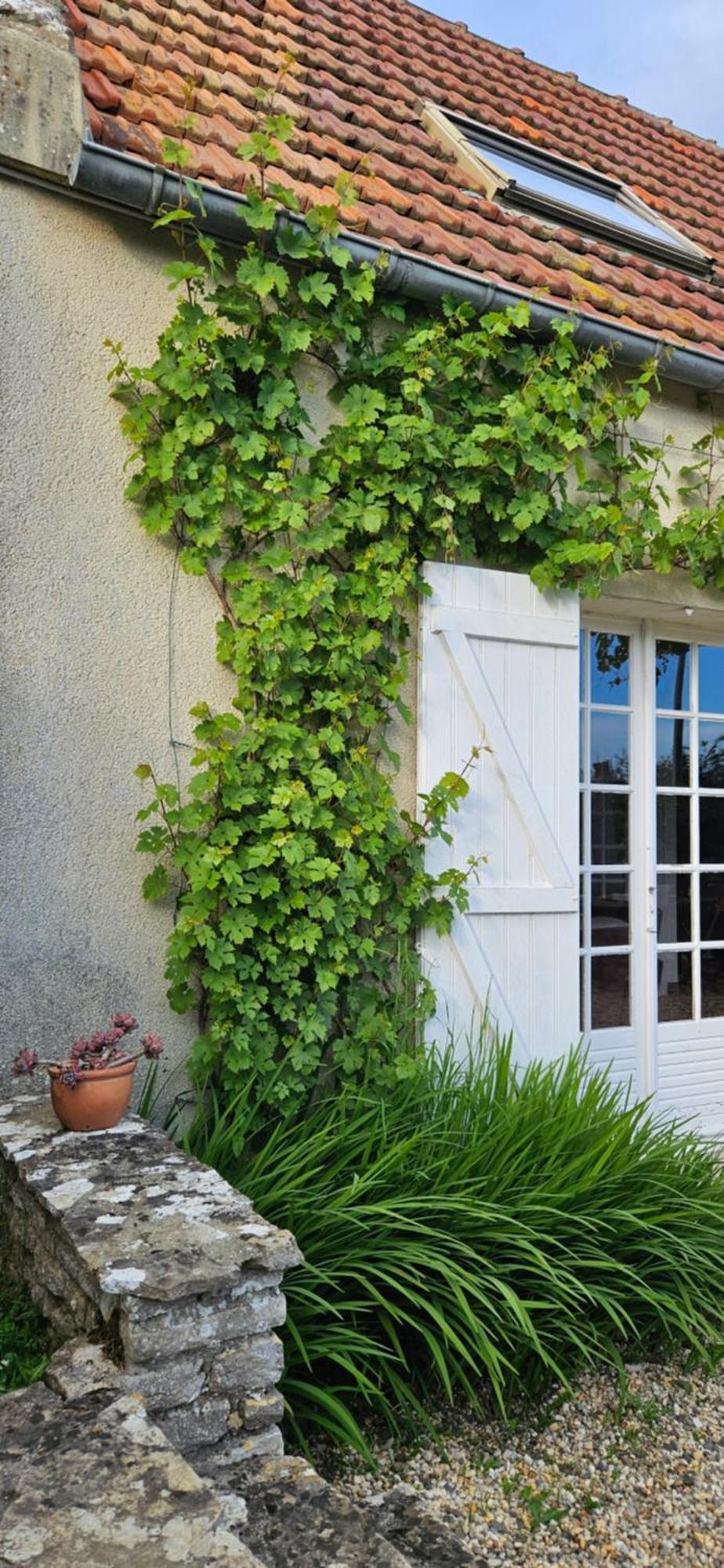 La Petite Chouette Villa Saint-Côme-de-Fresné Exteriör bild